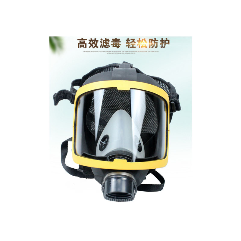 六氟化硫防毒面具全面罩(单位:个)