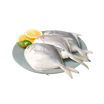 国联(GUOLIAN)白鲳鱼 250g
