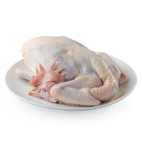 【苏宁生鲜】湘佳冰鲜老母鸡1.2kg 安心禽肉