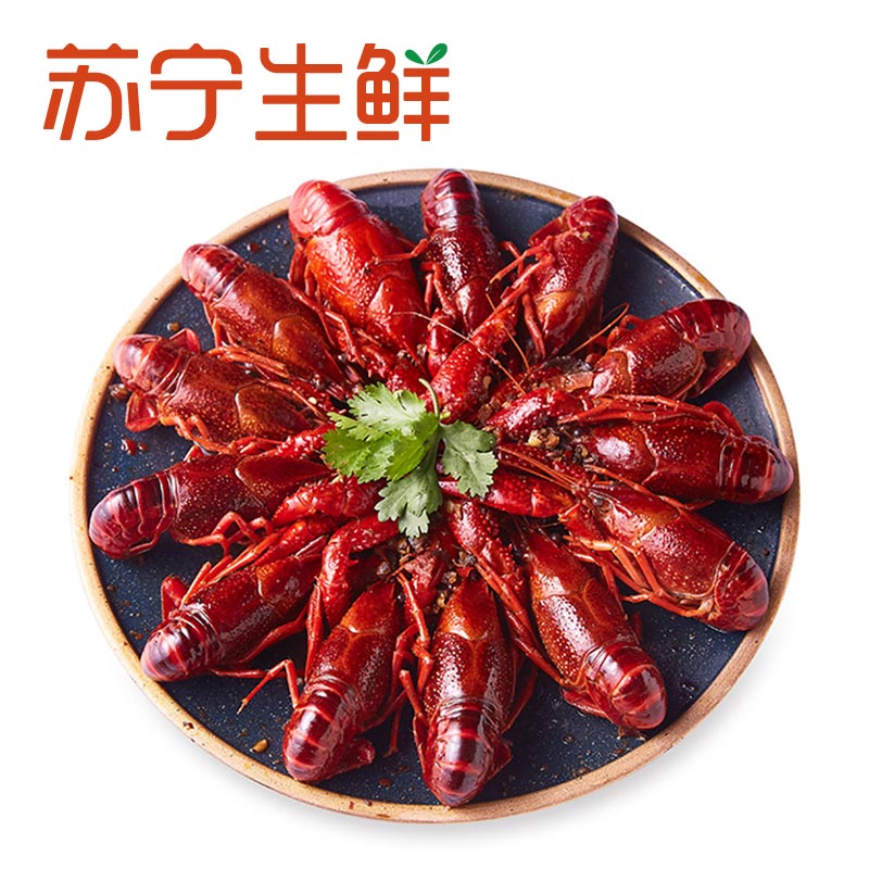 [苏宁生鲜]红功夫十三香味小龙虾700g(17-25只)
