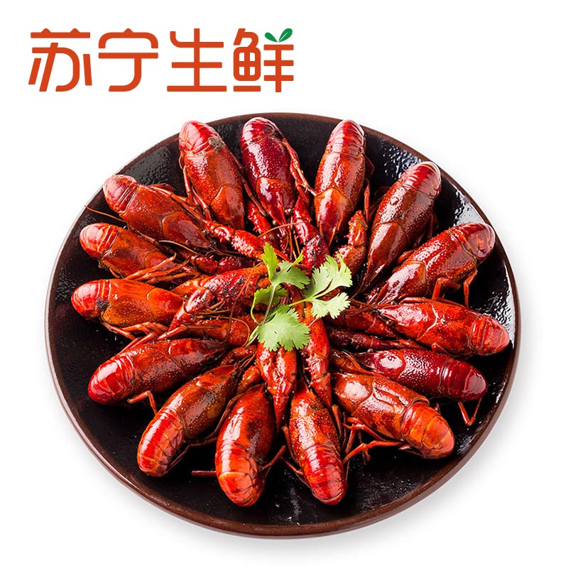 [苏宁生鲜]红小厨十三香口味小龙虾650g(12-17只)
