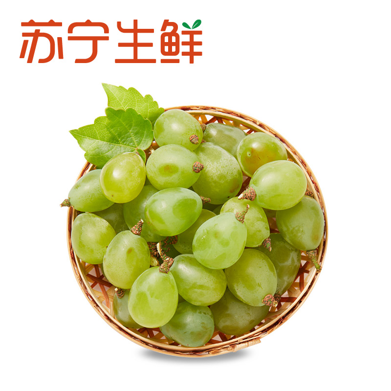【苏宁生鲜】浙江醉金香葡萄1盒(500g以上/盒)