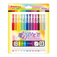 Paisin派仕彩色笔中性笔1.0子弹头 魔幻彩色闪光笔 12色选