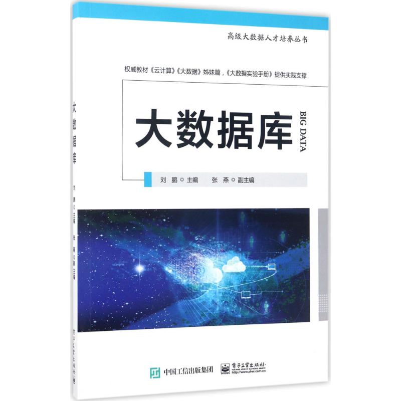 大数据库 刘鹏 著 专业科技 文轩网