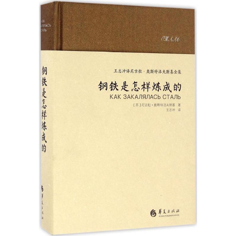 钢铁是怎样炼成的 (苏)尼古拉·奥斯特洛夫斯基 著;王志冲 译 著 文学 文轩网