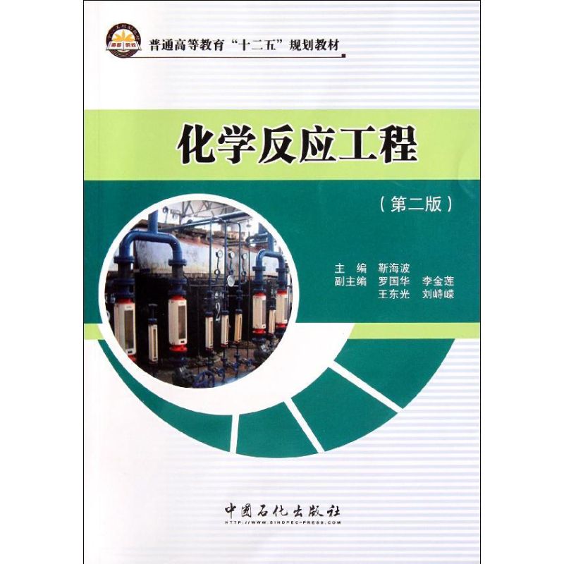 化学反应工程(第二版) 靳海波 著作 专业科技 文轩网