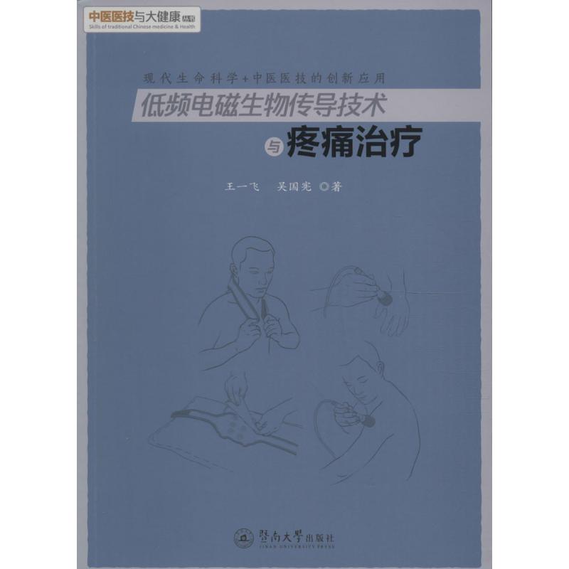 低频电磁生物传导技术与疼痛治疗 王一飞,吴国宪 著 生活 文轩网