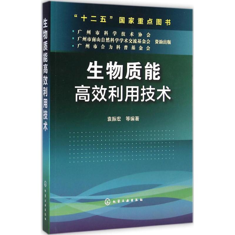 生物质能高效利用技术 袁振宏 等 编著 著 生活 文轩网