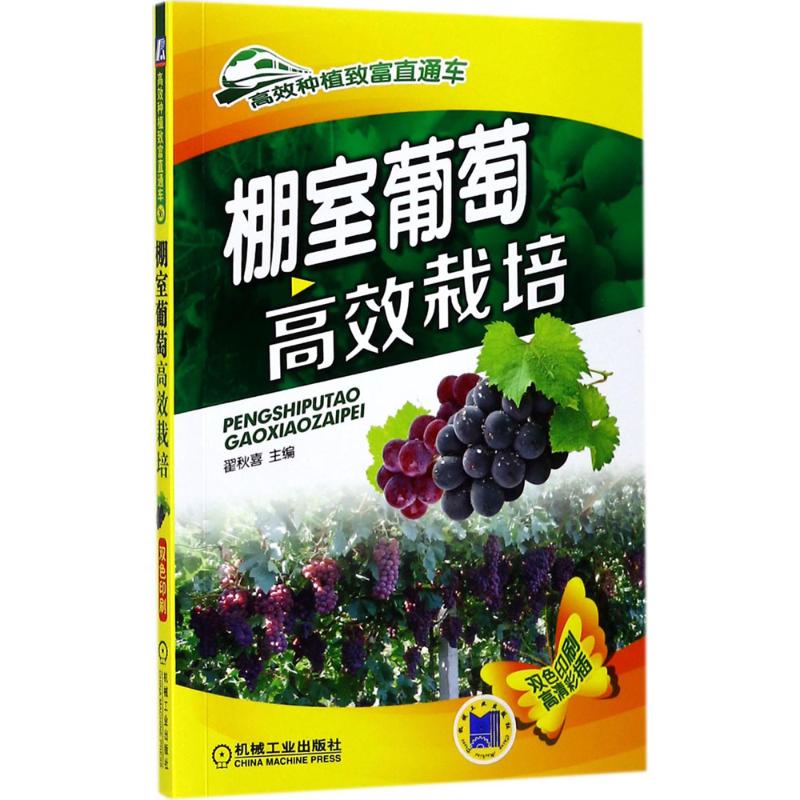 棚室葡萄高效栽培 翟秋喜 主编 专业科技 文轩网