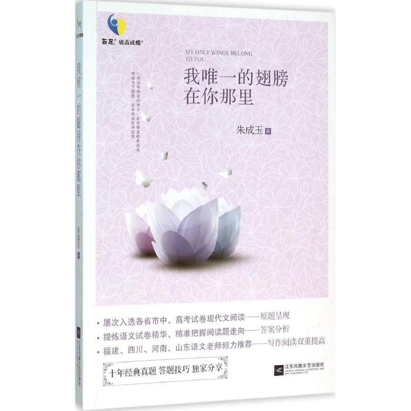 我唯一的翅膀在你那里 朱成玉 著 著 文学 文轩网