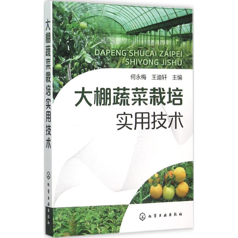 大棚蔬菜栽培实用技术 何永梅,王迪轩 主编 著作 专业科技 文轩网