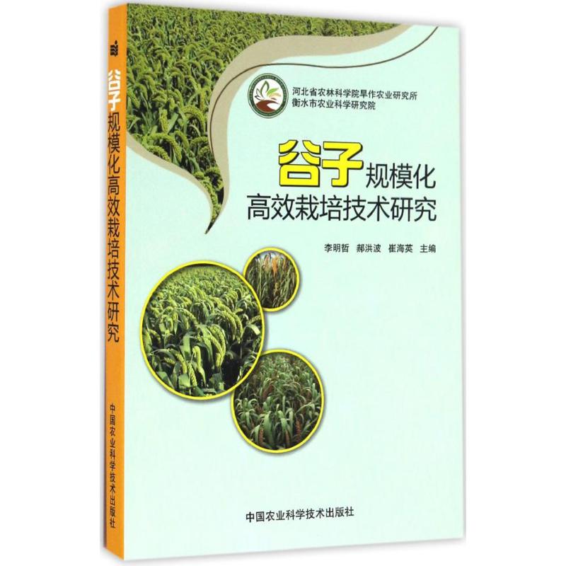 谷子规模化高效栽培技术研究 李明哲,郝洪波,崔海英 主编 专业科技 文轩网