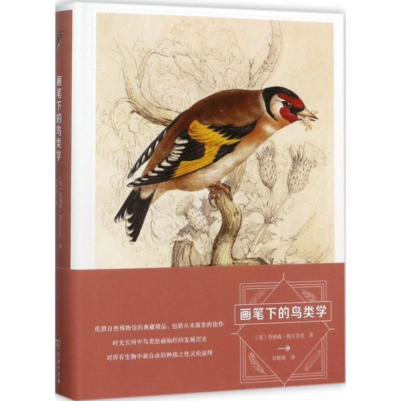 画笔下的鸟类学 (英)乔纳森·埃尔菲克 著;许辉辉 译 艺术 文轩网