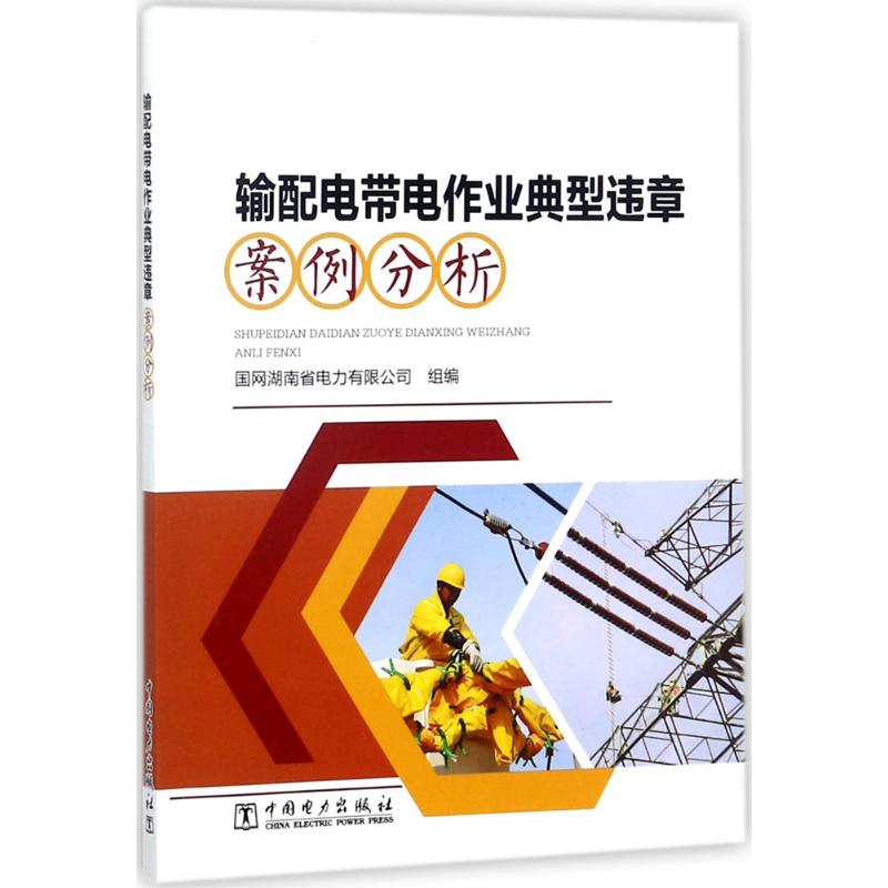 输配电带电作业典型违章案例分析 国网湖南省电力有限公司 组编 专业科技 文轩网