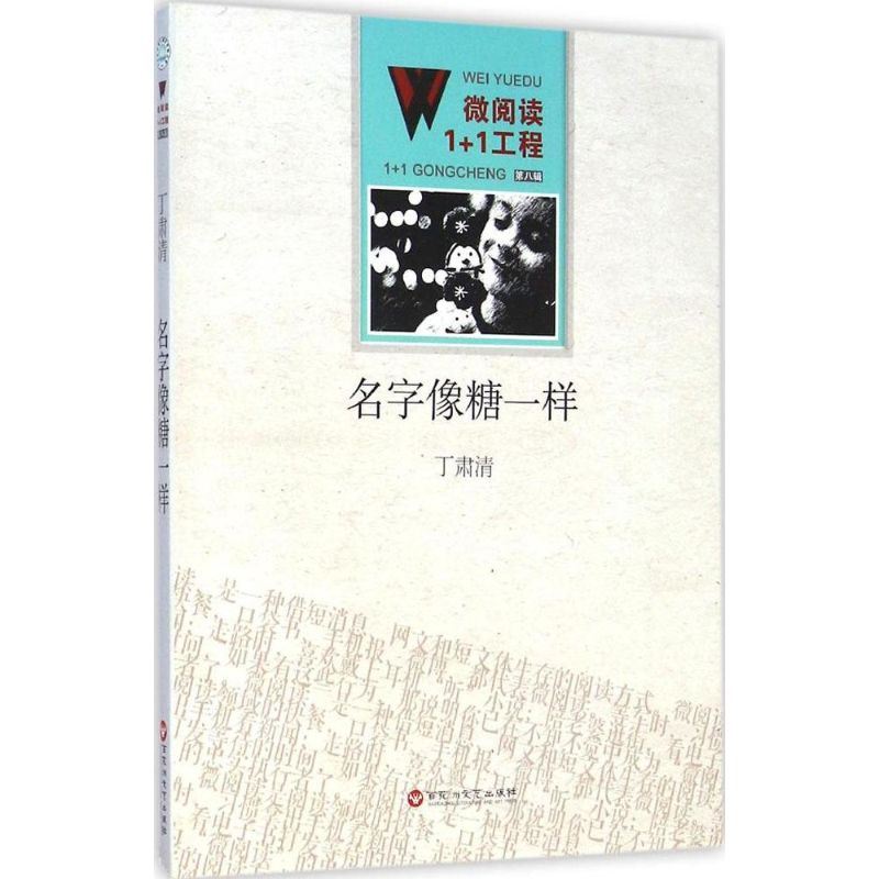 名字像糖一样 丁肃清 著 著 文学 文轩网