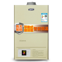奇田(Qitian)燃气热水器 JSG20-10A(06)无氧铜恒温 平衡式燃气热水器 热水器液化气