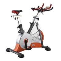 艾威豪华磁控竞赛车BC8520磁控健身车家庭用健身自行车