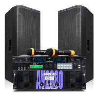 狮乐(SHILE)2080/15专业双15英寸大型舞台音响户外演出活动音箱套装AV2080+BM25+效果器+一拖二话筒