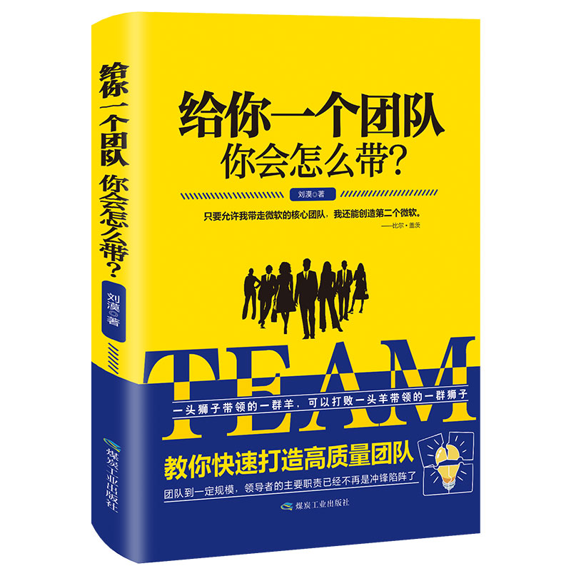 给你一个团队你会怎么带 刘漠 企业管理方面的书籍 企业经营团队管理学销售管理类书籍 畅销书领导力 领导力执行力人力资源