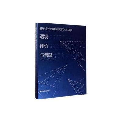 基于时空大数据的武汉发展研究:透视评价与策略