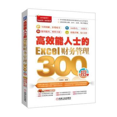 高效能人士的Excel财务管理300招-双色版