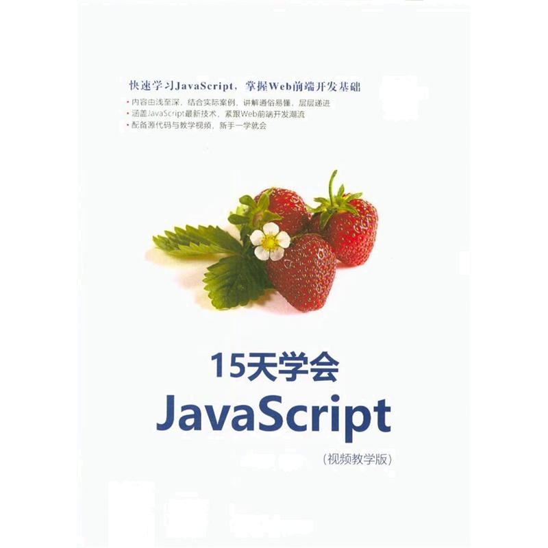 15天学会JavaScript（视频教学版）