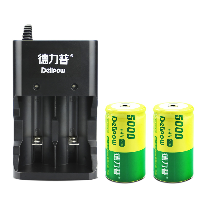德力普(Delipow) 充电电池 1号电池套装多功能充电器配2节5千毫安电池 适用热水器燃气灶电池