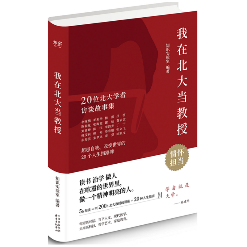 我在北大当教授 20位北大学者访谈故事集超越自我改变世界的20种人生指南 知识实验室与作品零距离对话 人文指南情怀担当