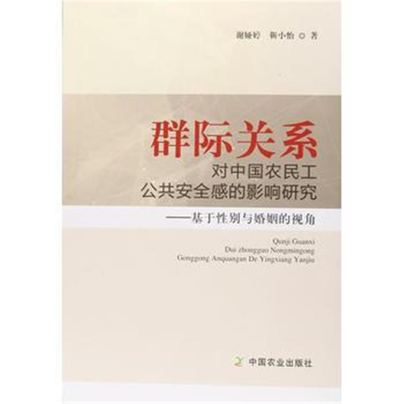 全新正版 群际关系对中国农民工公共安全感的影响研究