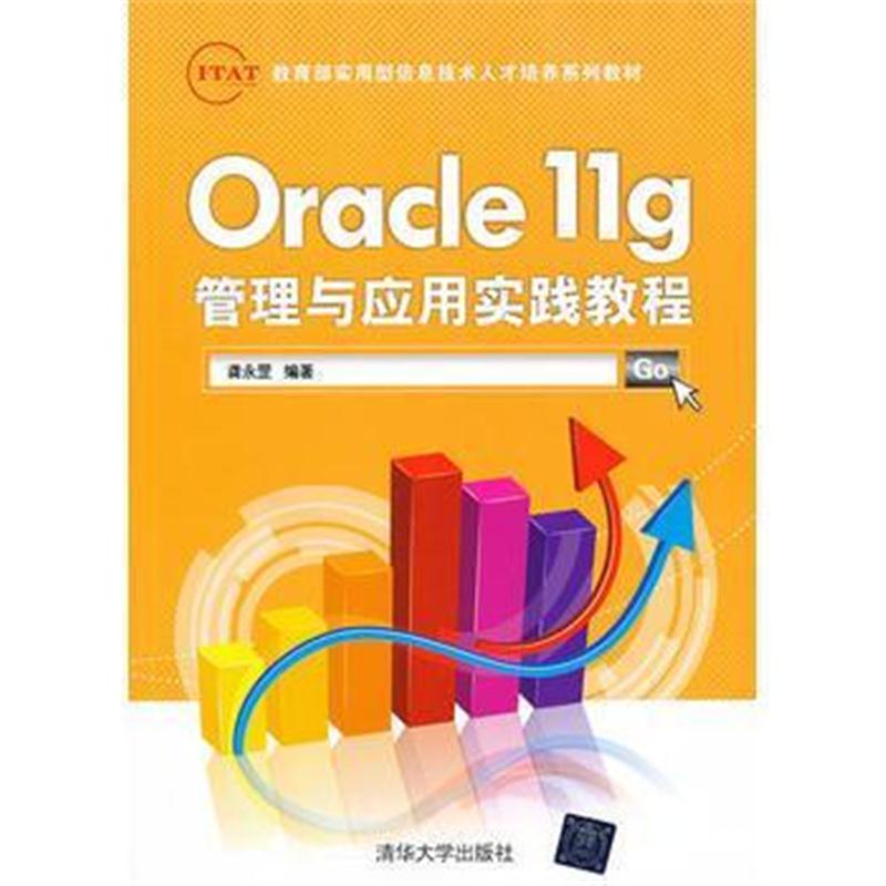 全新正版 Oracle 11g管理与应用实践教程