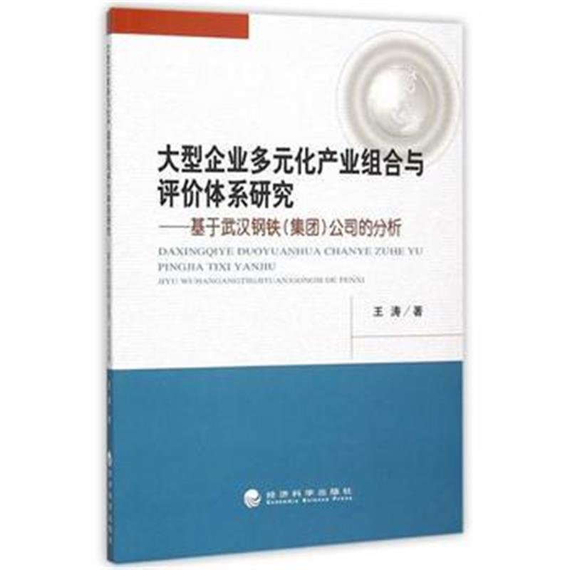 全新正版 大型企业多元化产业组合与评价体系研究