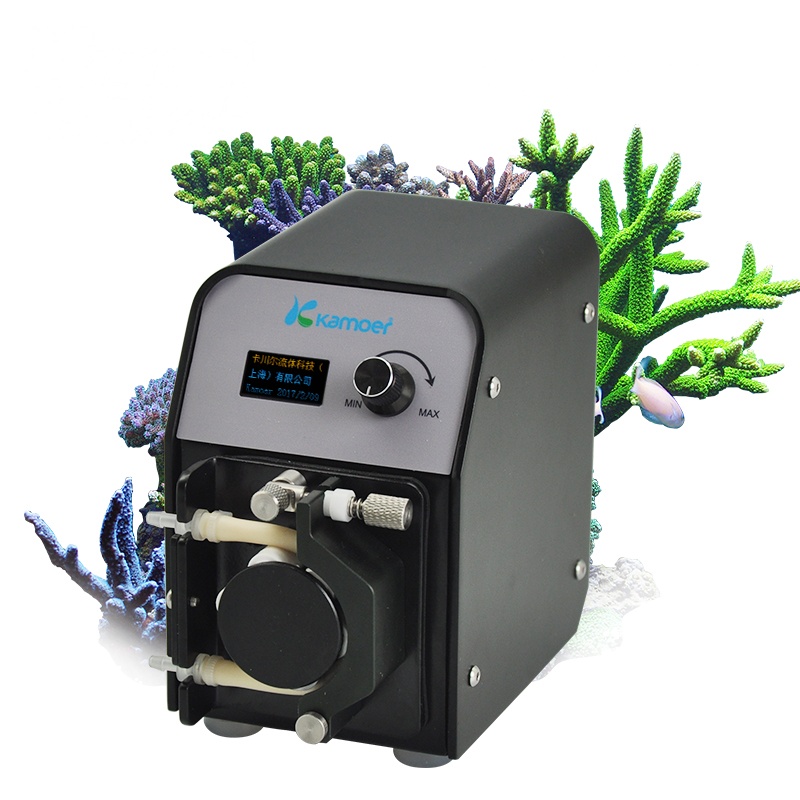洋子(YangZi)水族钙反蠕动泵鱼缸配件海水过滤循环泵12v水泵钙反应器养鱼用品