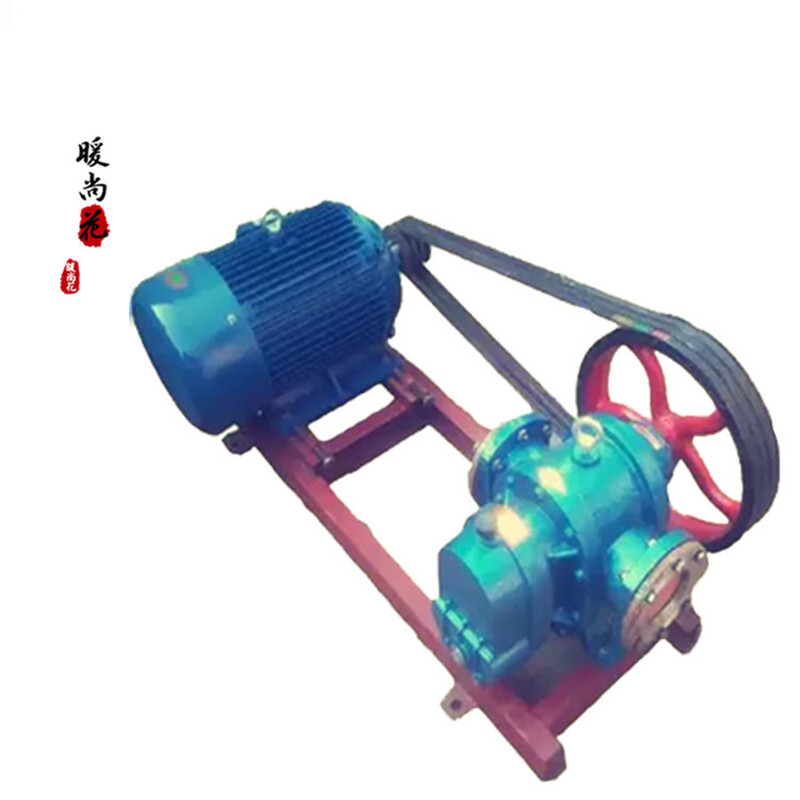 洋子(YangZi)高温电动罗茨泵LC18-0.6自吸泵高稠度罗茨泵齿轮油泵输送油泵整机01 皮带轮整机5.