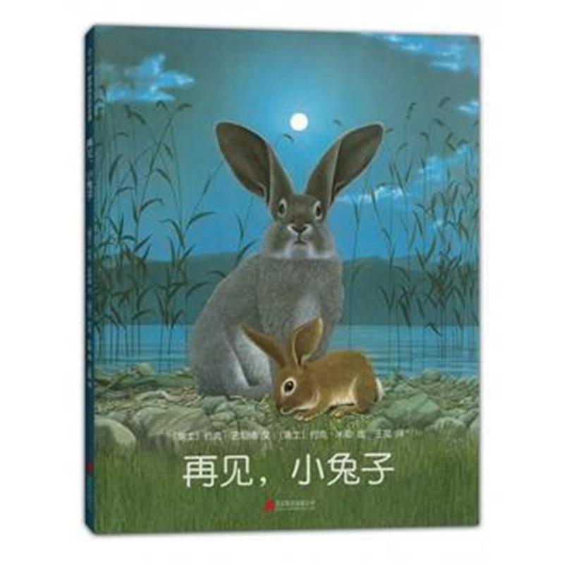 正版书籍 再见，小兔子 9787550294738 北京联合出版公司
