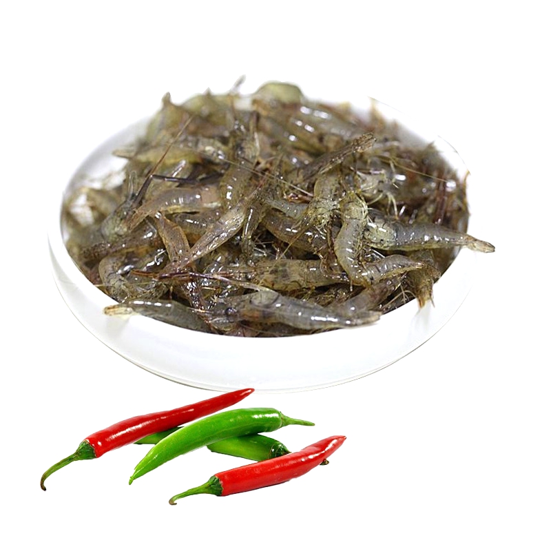 小河虾 500g 新鲜淡水青虾 小草虾醉虾清水野河虾 