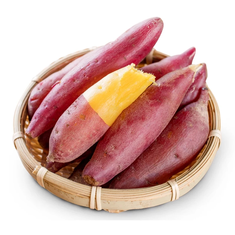 博多客 天目山小香薯 5斤装 新鲜蔬菜小红薯 番薯紫薯 临安 黄心地瓜番薯 山芋