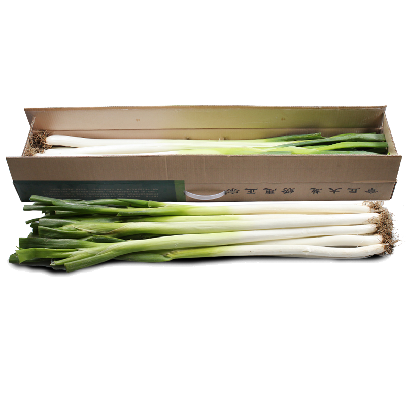 博多客山东章丘大葱新鲜蔬菜非铁杆大葱送礼佳品精选大葱2.5kg礼盒装生鲜新鲜