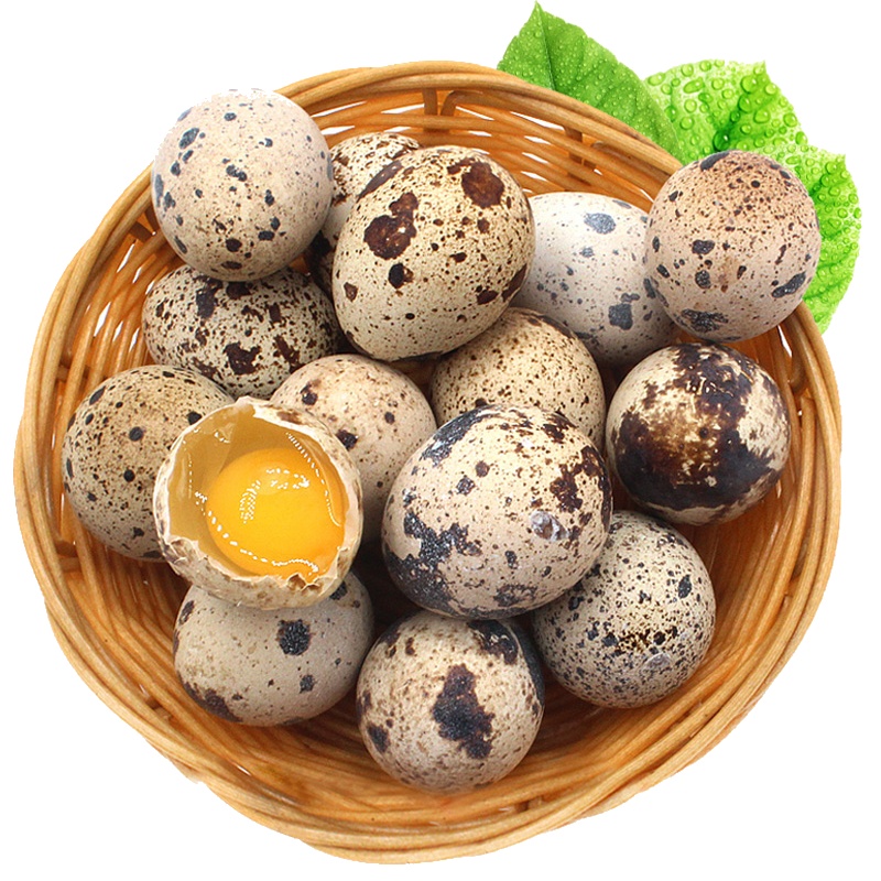 桃小淘 新鲜生鹌鹑蛋50枚装 正宗农家散养 宝宝辅食孕妇营养 非鸡蛋鹅蛋鸽子蛋鸭蛋变蛋