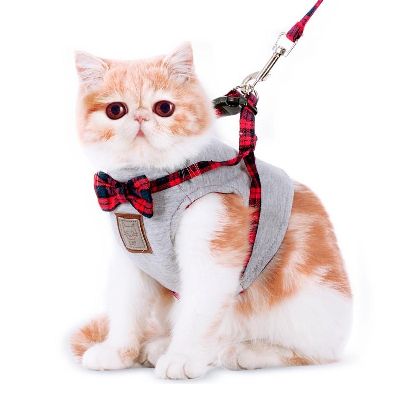 遛猫绳猫绳猫绳子猫牵引猫链子牵引绳 溜猫胸背带猫咪专用溜猫绳