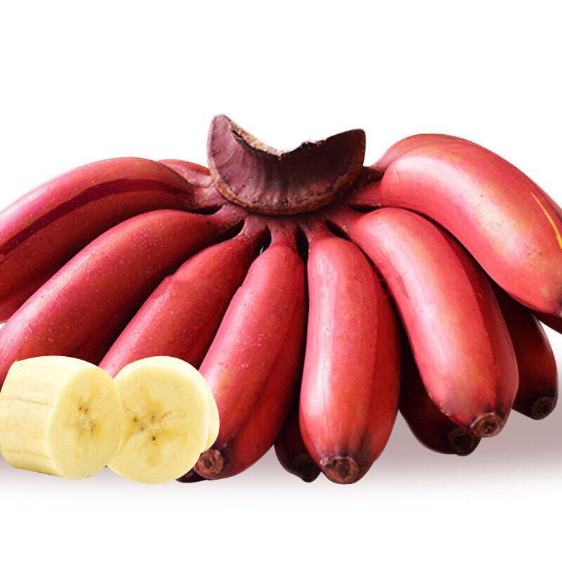 红皮香蕉 红香蕉 美人蕉 红香蕉 孕妇水果非小米蕉 芭蕉2.5KG