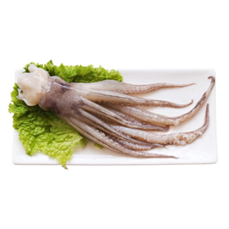 新鲜鱿鱼头 鱿鱼须 鱿鱼爪 青岛特产 海鲜水产 鱼类海鲜 1kg