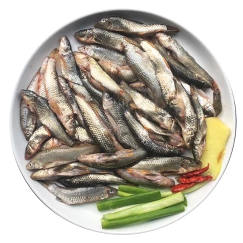 小麦穗鱼 新鲜小杂鱼 麦穗鱼 餐条 小白鱼 500G(1斤)