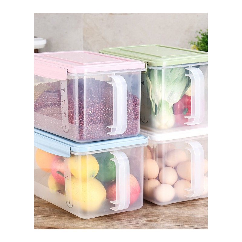 保鲜盒塑料透明可视带盖大号居家冰箱食品水果保鲜储物冷冻盒