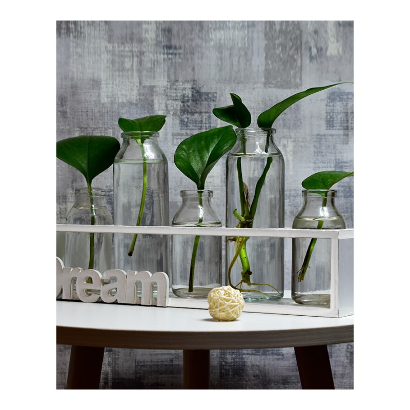 18新款绿萝水培植物玻璃花瓶透明花盆客厅插花器皿清新创意摆件水养容器白色HOME5送小夜灯中等