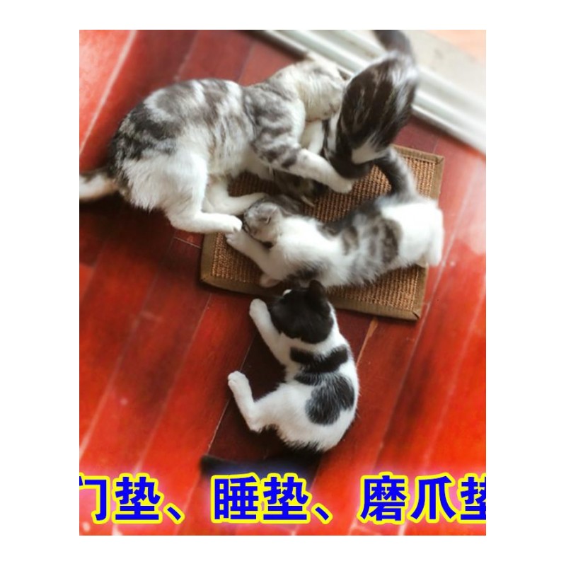 进口猫抓板 剑麻猫抓垫磨爪器猫爪板大号猫窝垫猫爬架 定制磨爪垫