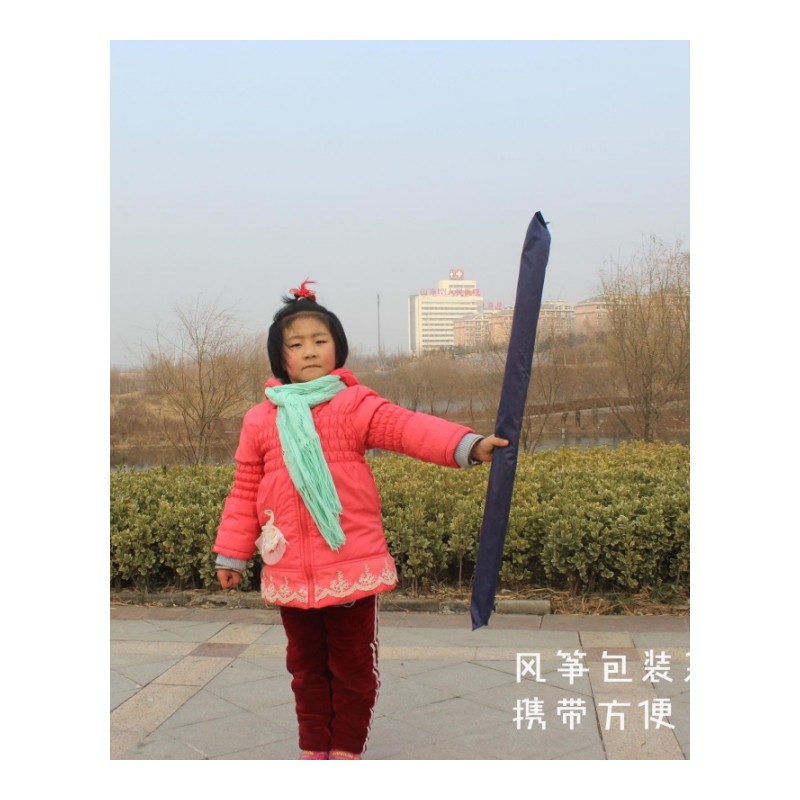 大蛇潍坊风筝儿童卡通大型高档长尾风筝微风易飞带线