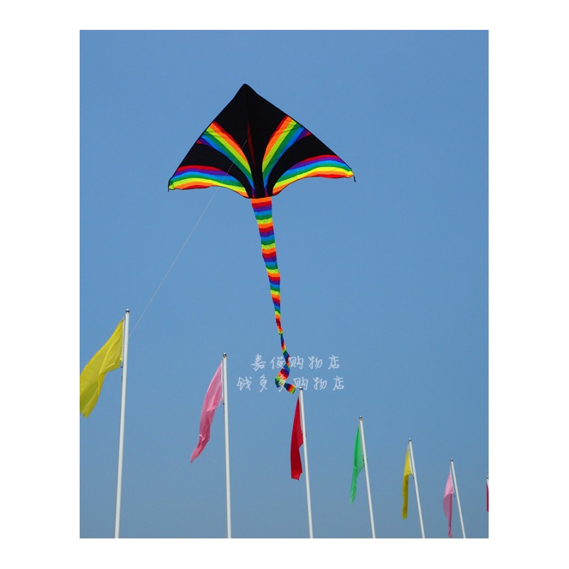 潍坊风筝 儿童大型成人风筝线轮 长尾炫彩易飞 三角彩虹