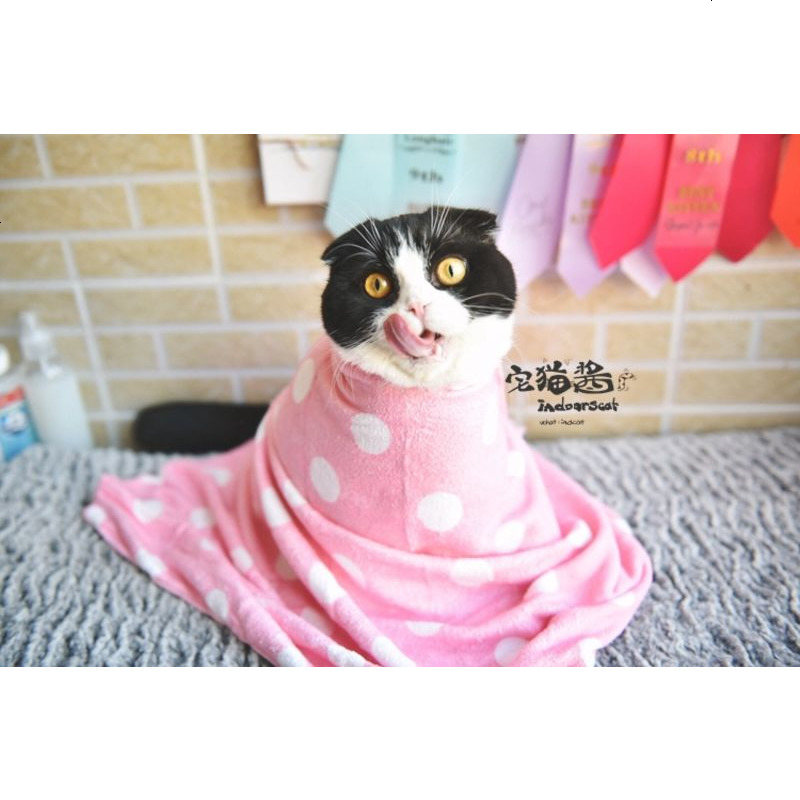 宅猫酱 洗完澡用的好毛巾 多格漫V型吸水宠物毛巾 洗澡毛巾
