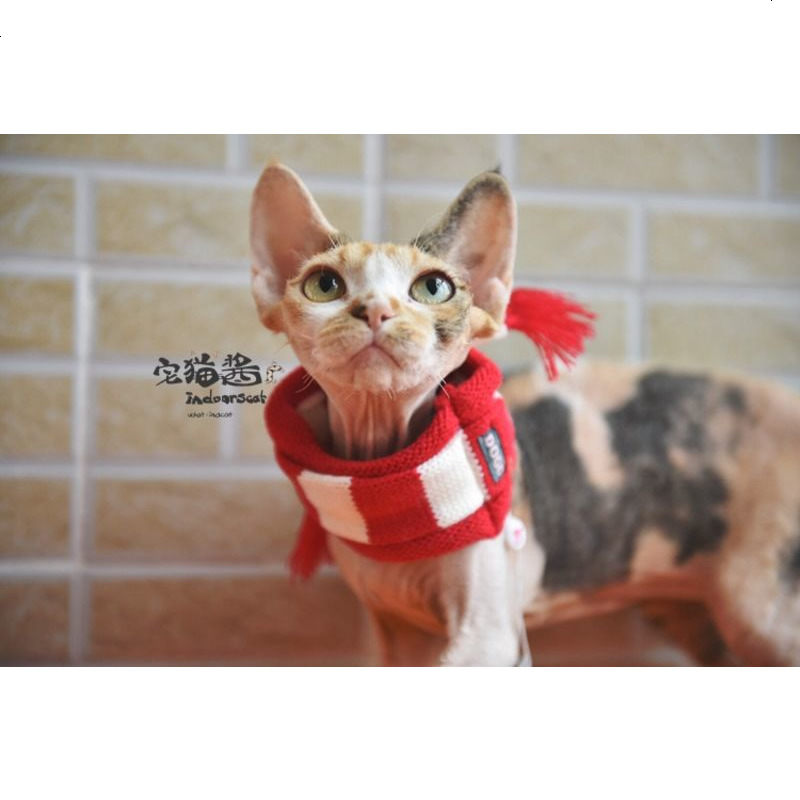 猫咪狗狗宠物围巾圣诞套头搭配衣服时尚保暖可爱豆腐自留款
