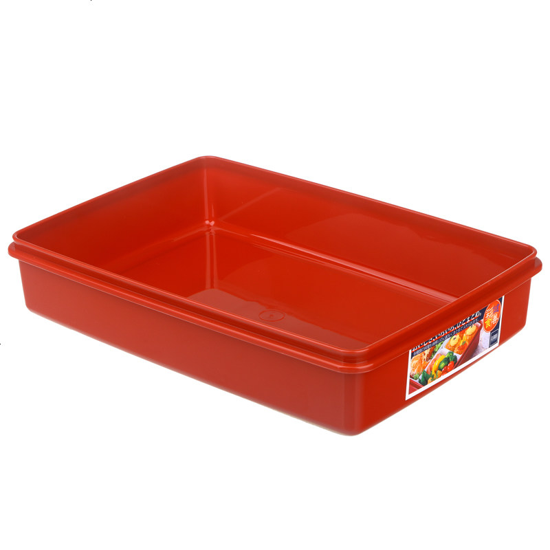 进口SANKO塑料饭盒分格便当盒四格寿司盒水果盒干果盒零食盒